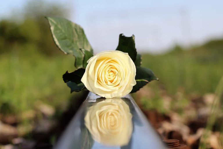 preventing teen suicide